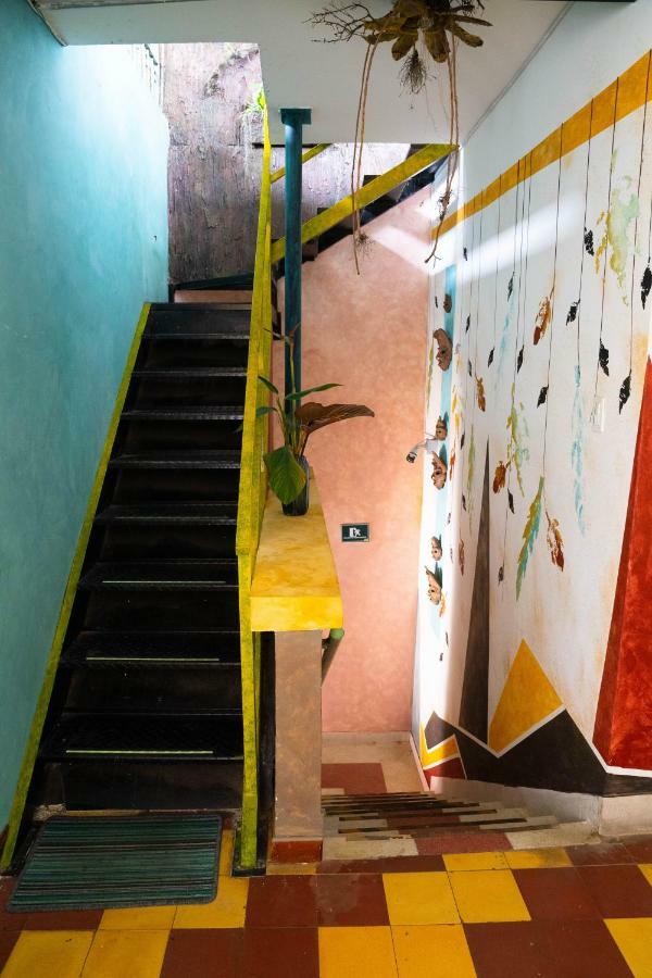 Los Andes Hostel メデジン エクステリア 写真